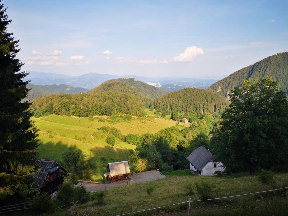 Mountain Lodge Smrekovc Sostanj Dış mekan fotoğraf