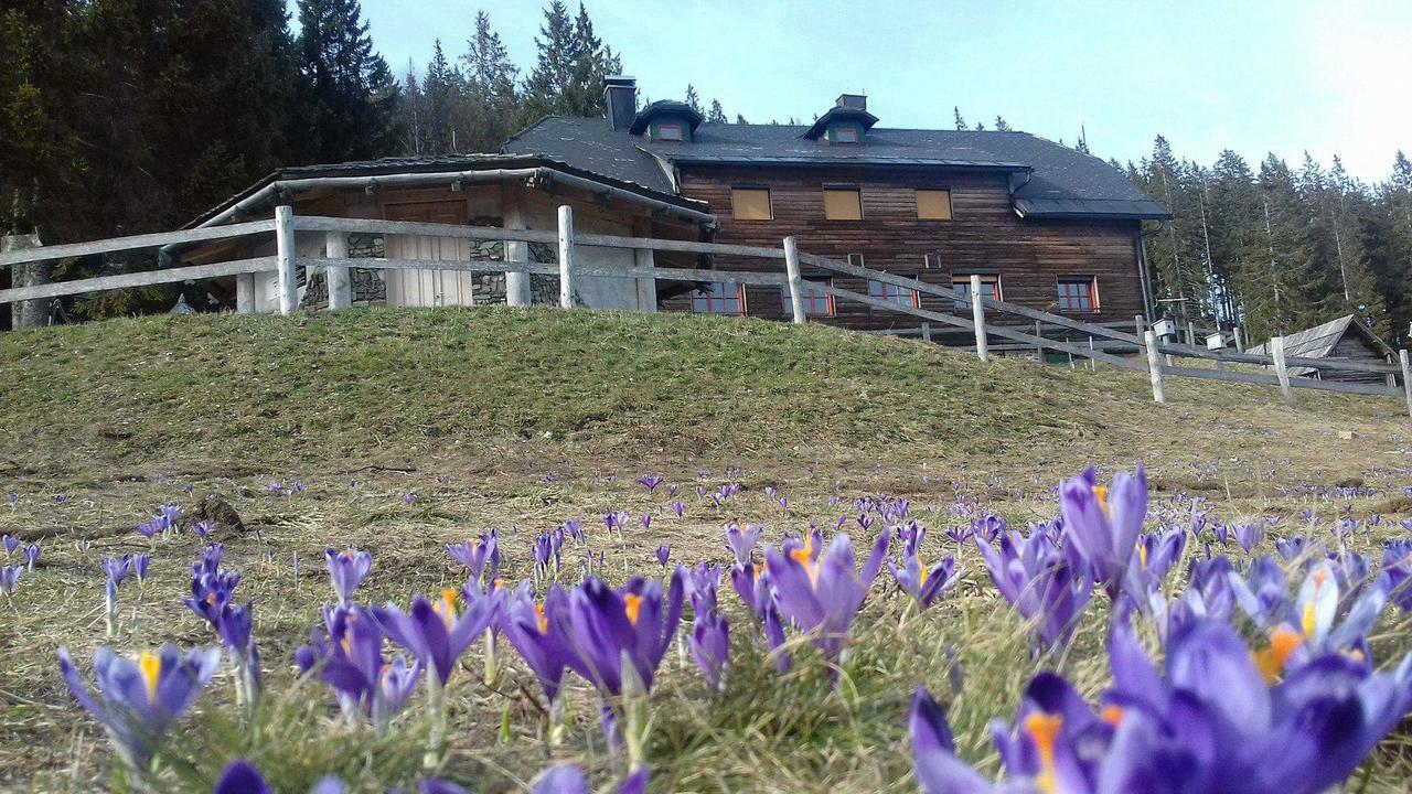 Mountain Lodge Smrekovc Sostanj Dış mekan fotoğraf